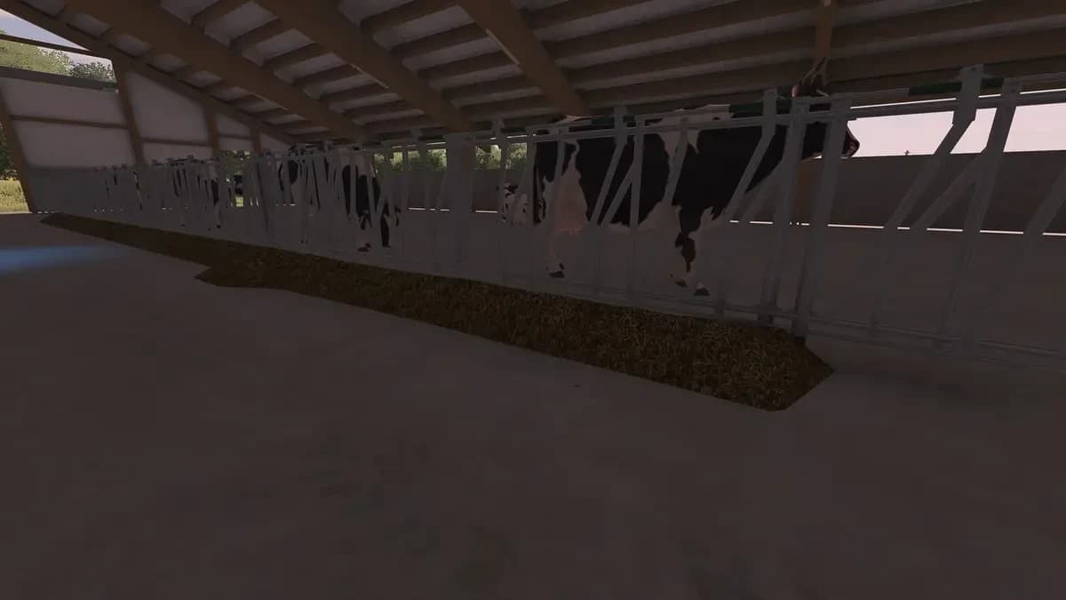 COW BARN WITH MANURESYSTEM 2