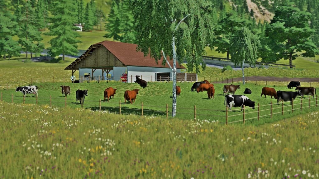 COW PASTURE 5