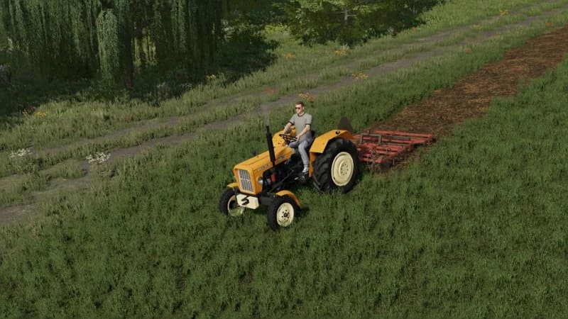 CULTIVATOR LIZARD