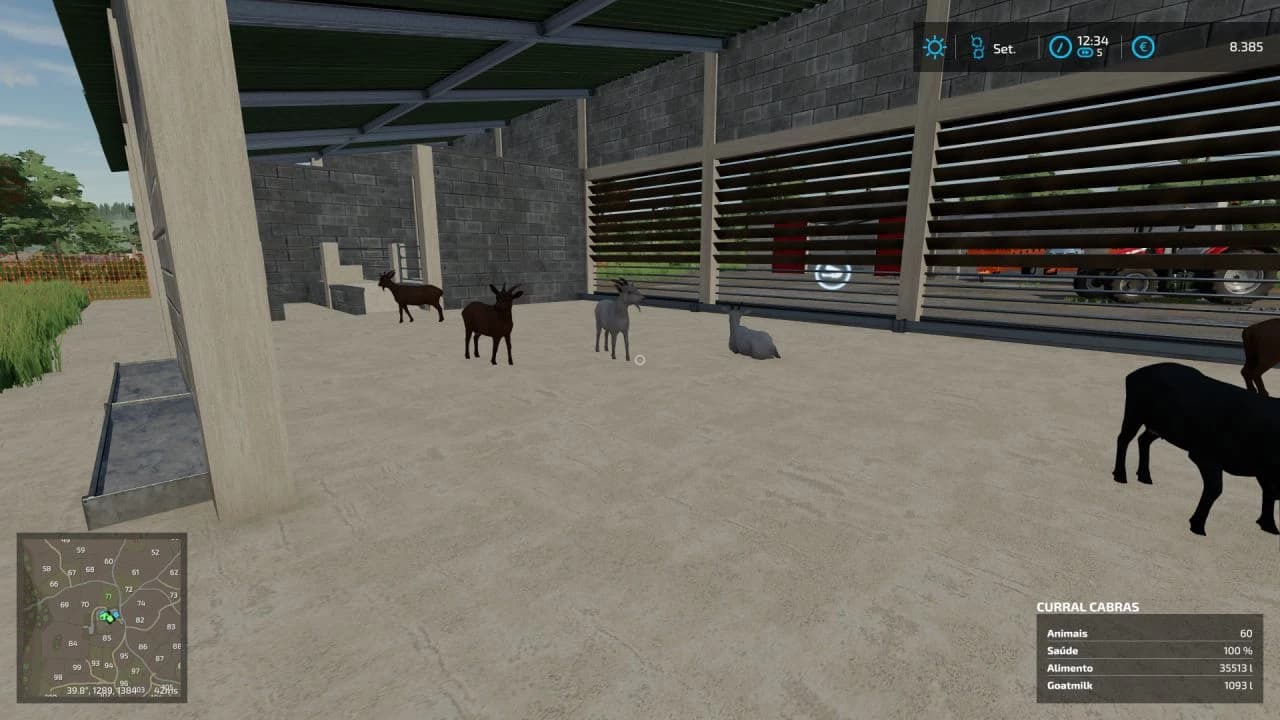 CURRAL CABRAS 2