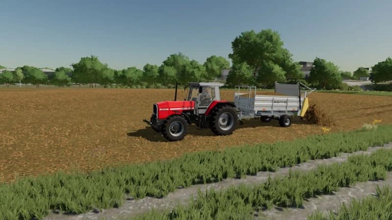 CYNKOMET N221