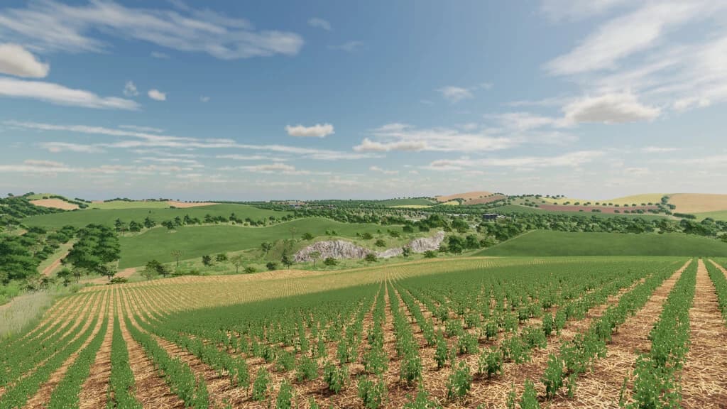 Canarinho Farm 6