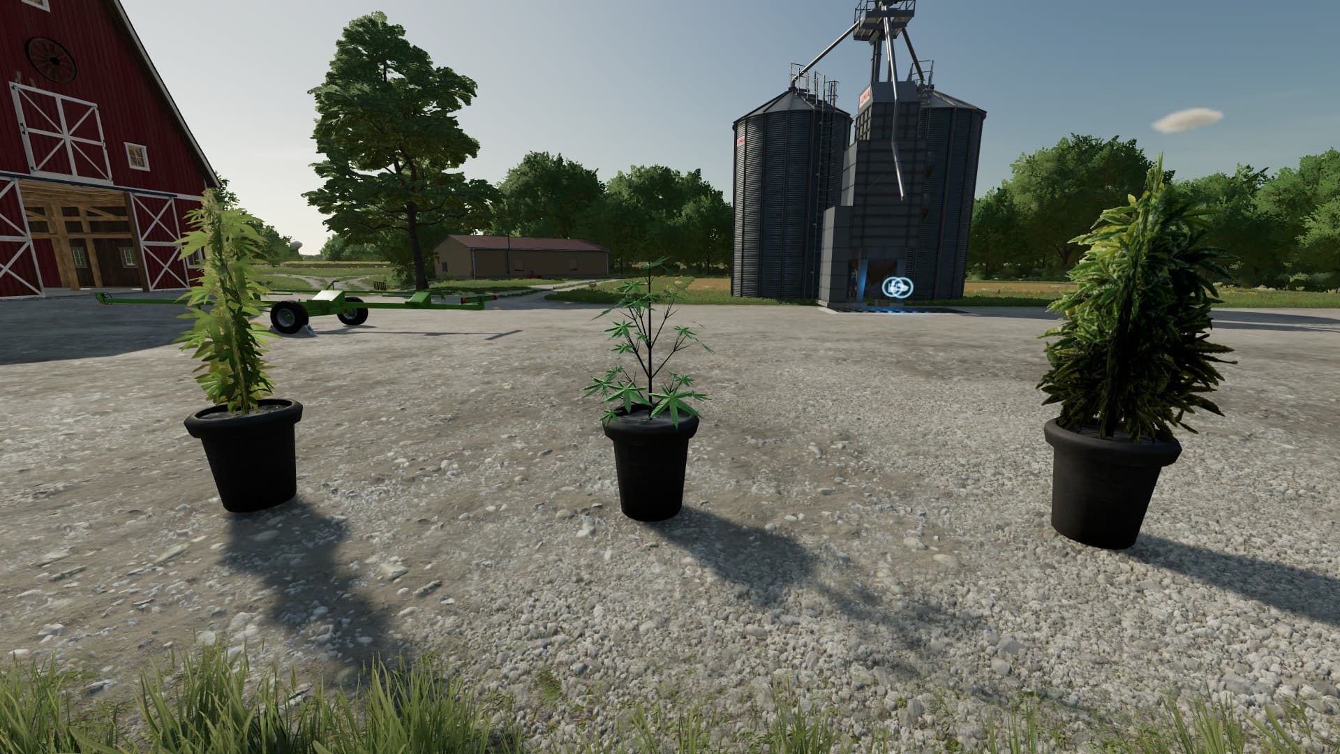 Cannabis Plants Pack 1 3