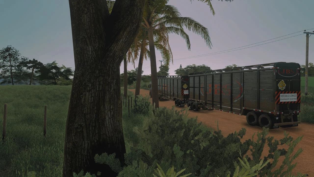 Carreta Boiadeira BR BETA 6