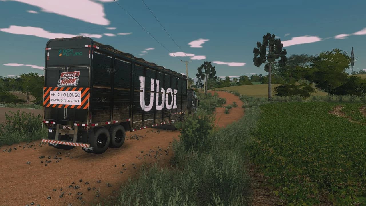 Carreta Boiadeira BR BETA 4