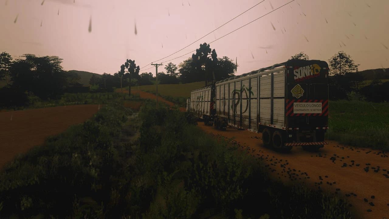 Carreta Boiadeira BR BETA