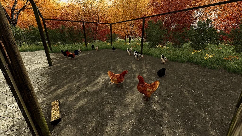 Chicken Barn 4