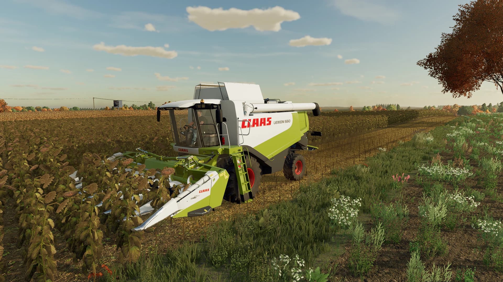 Claas Lexion 500 3