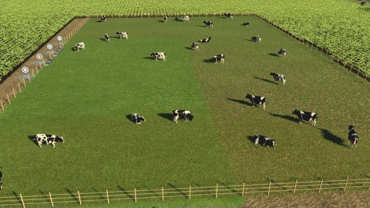 Cow Barn Small 3