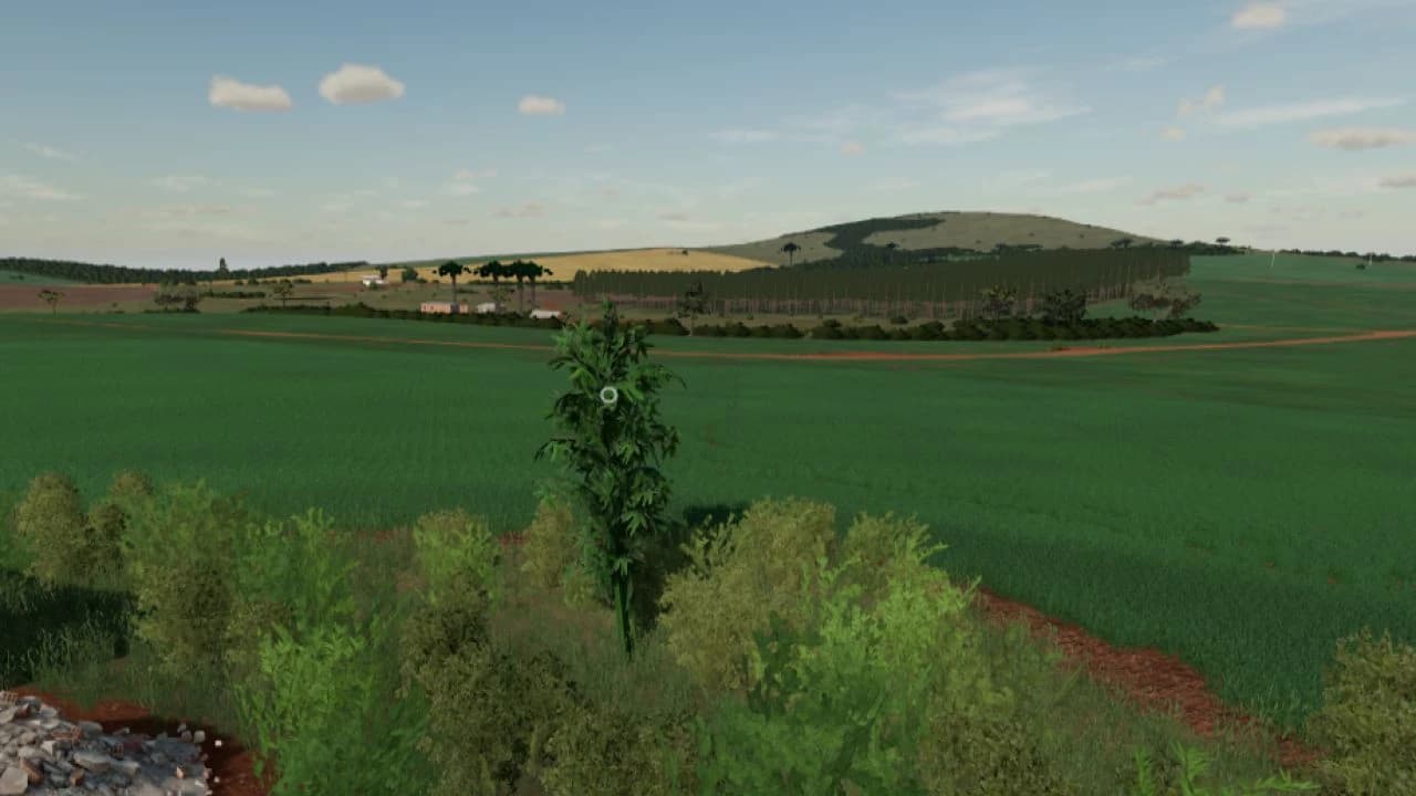 Curiuva Map 4