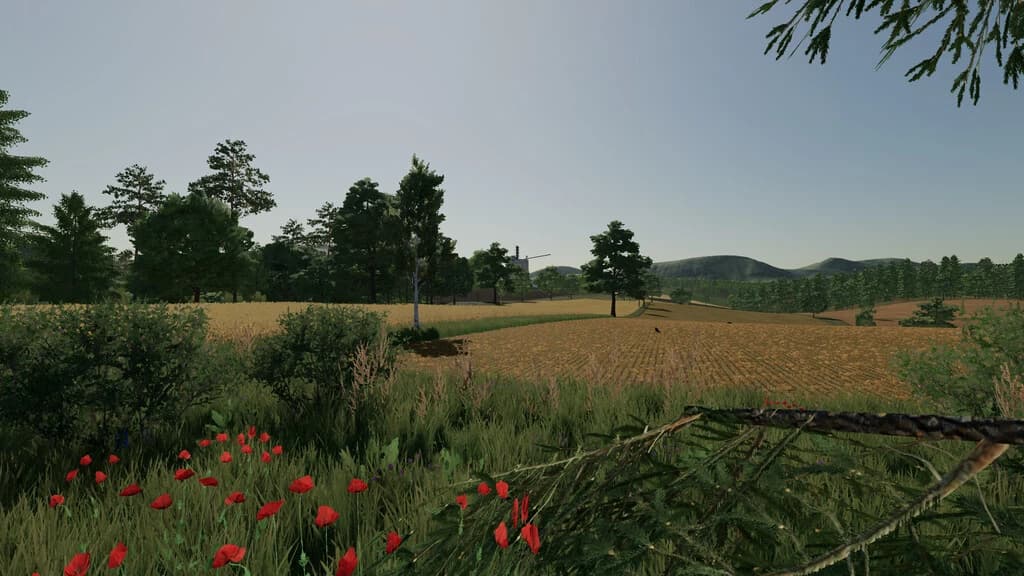 DELUSION MAP 3
