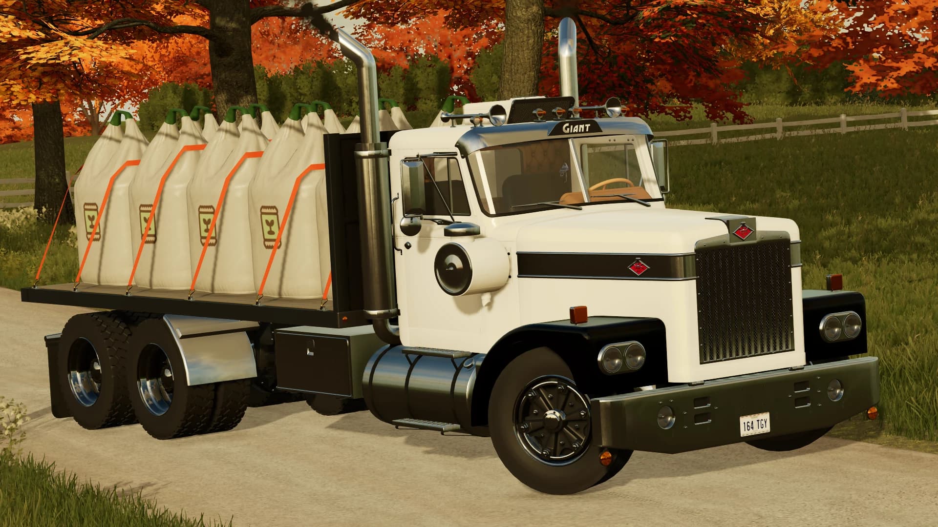DIAMOND REO GIANT FLATBED 1974 (AUTOLOAD) 3