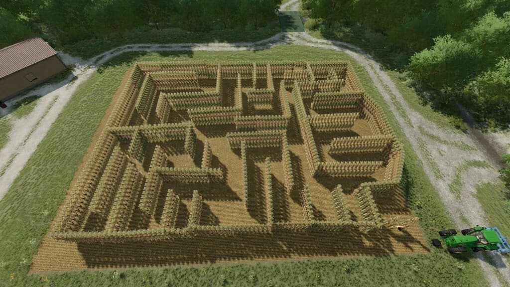 DIY CORN MAZE 5