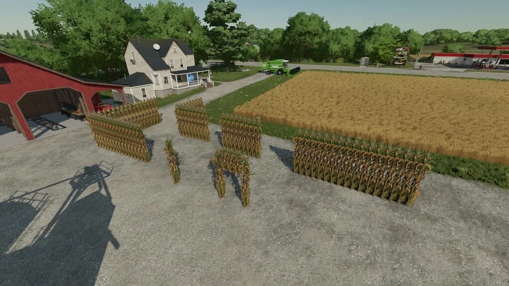DIY CORN MAZE