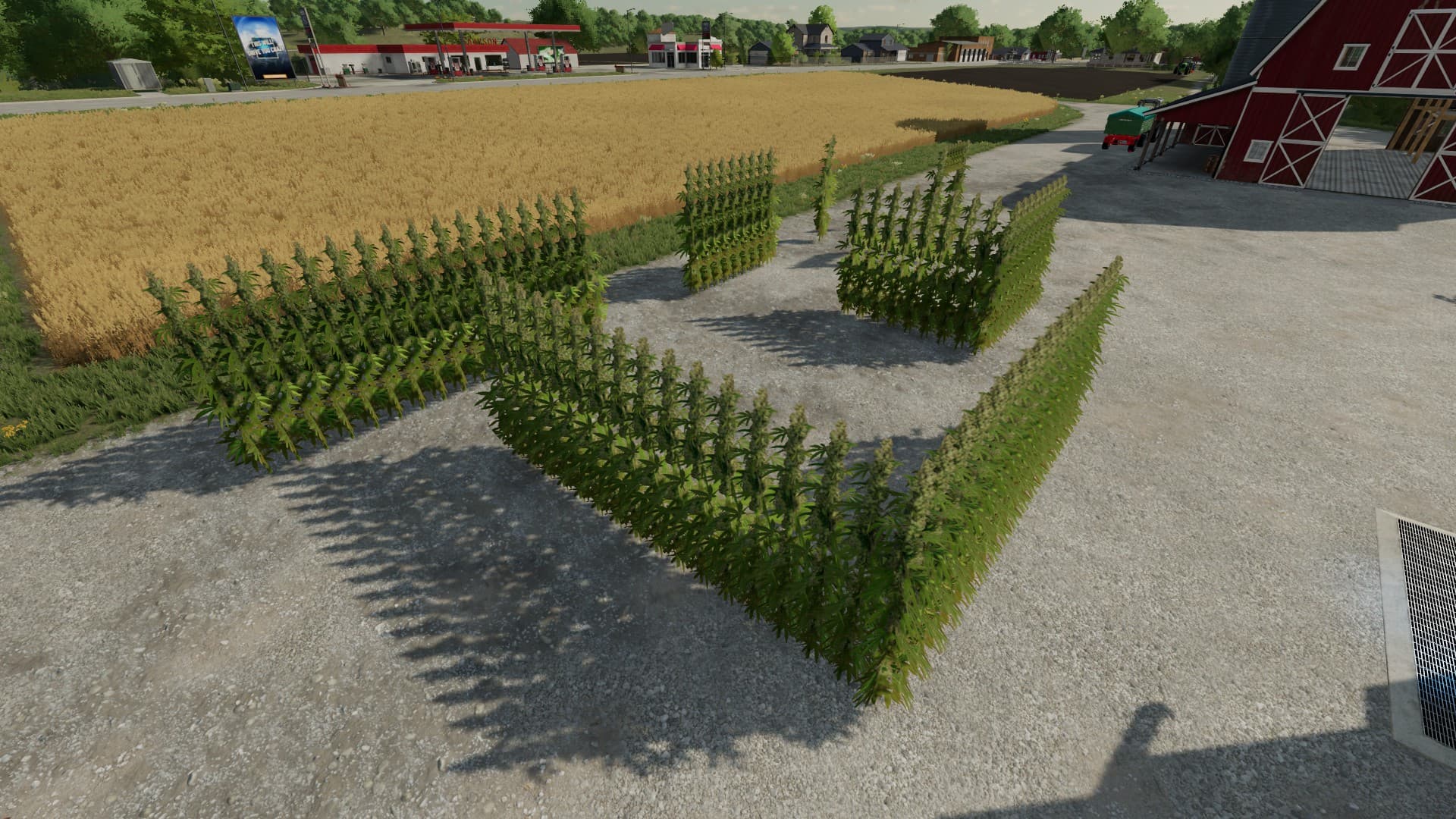 DIY Cannabis Maze 2