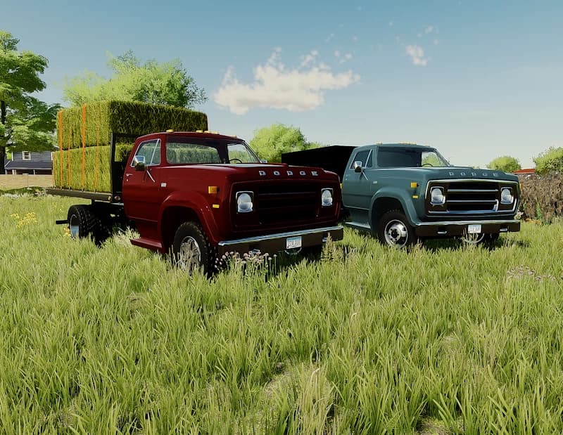 DODGE D600 1974