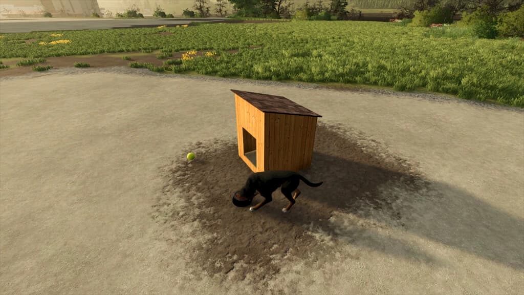 DOG HOUSES 3