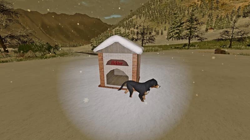 DOGHOUSE MC 3
