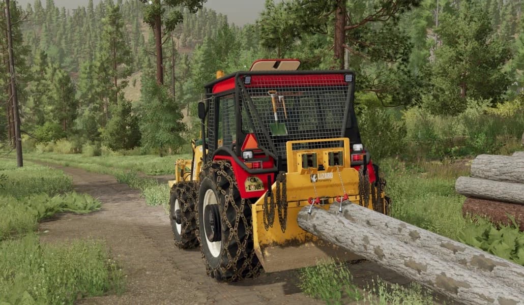 DOUBLE WINCH LIZARD D60 2