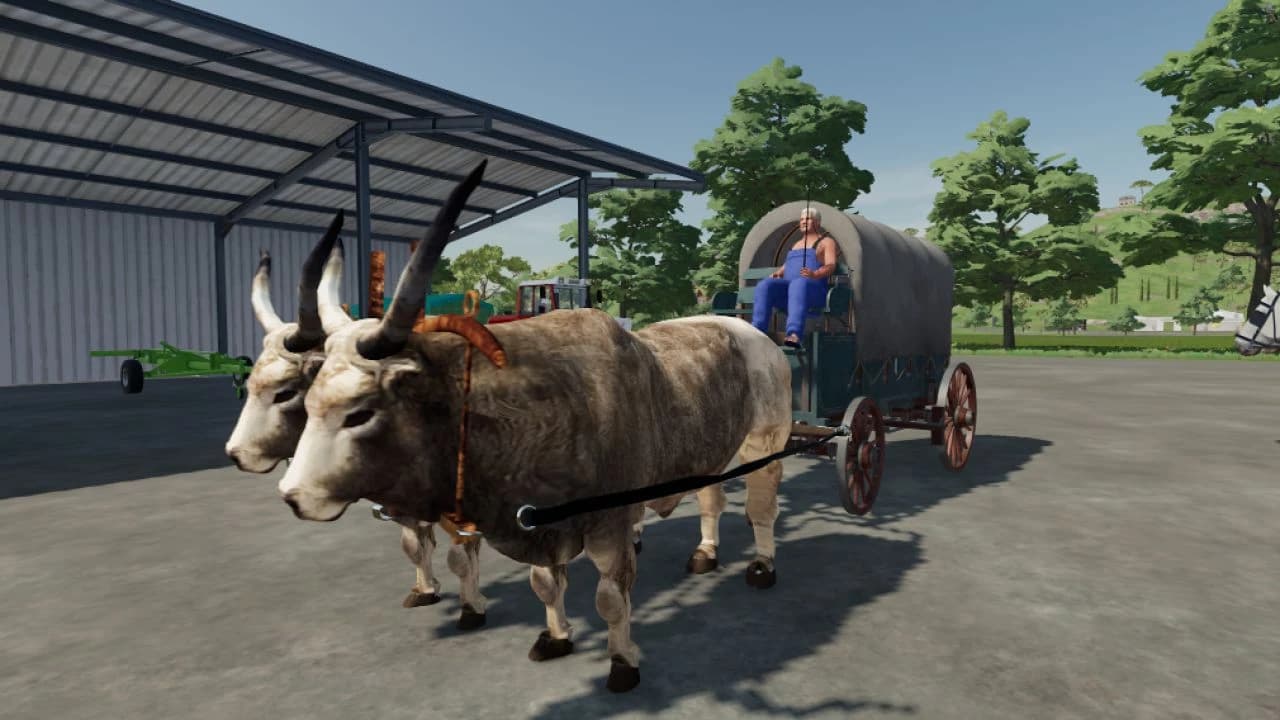 DRAFT HORSE AND OX PACK 2