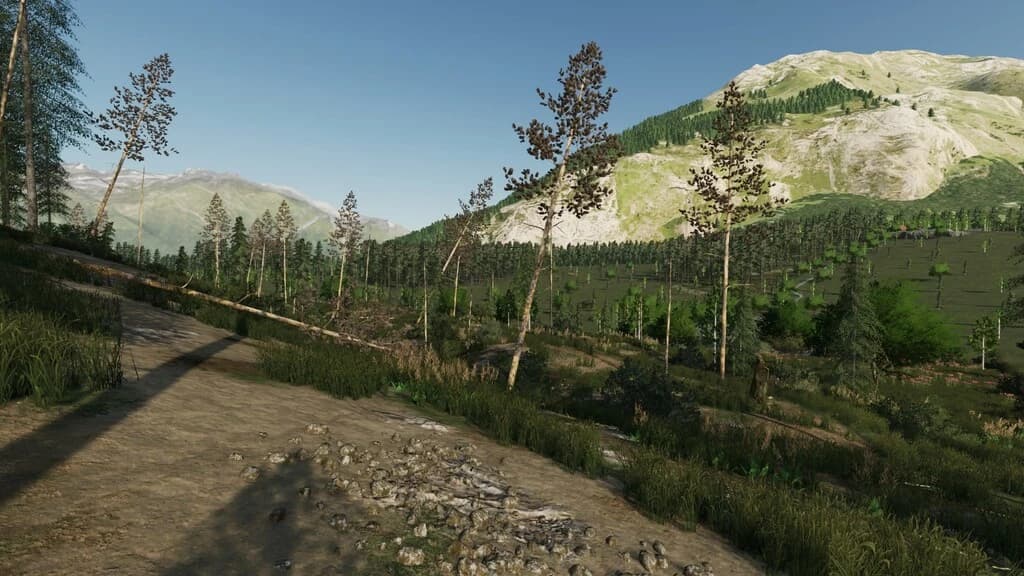 DREDGE CREEK ALASKA 2