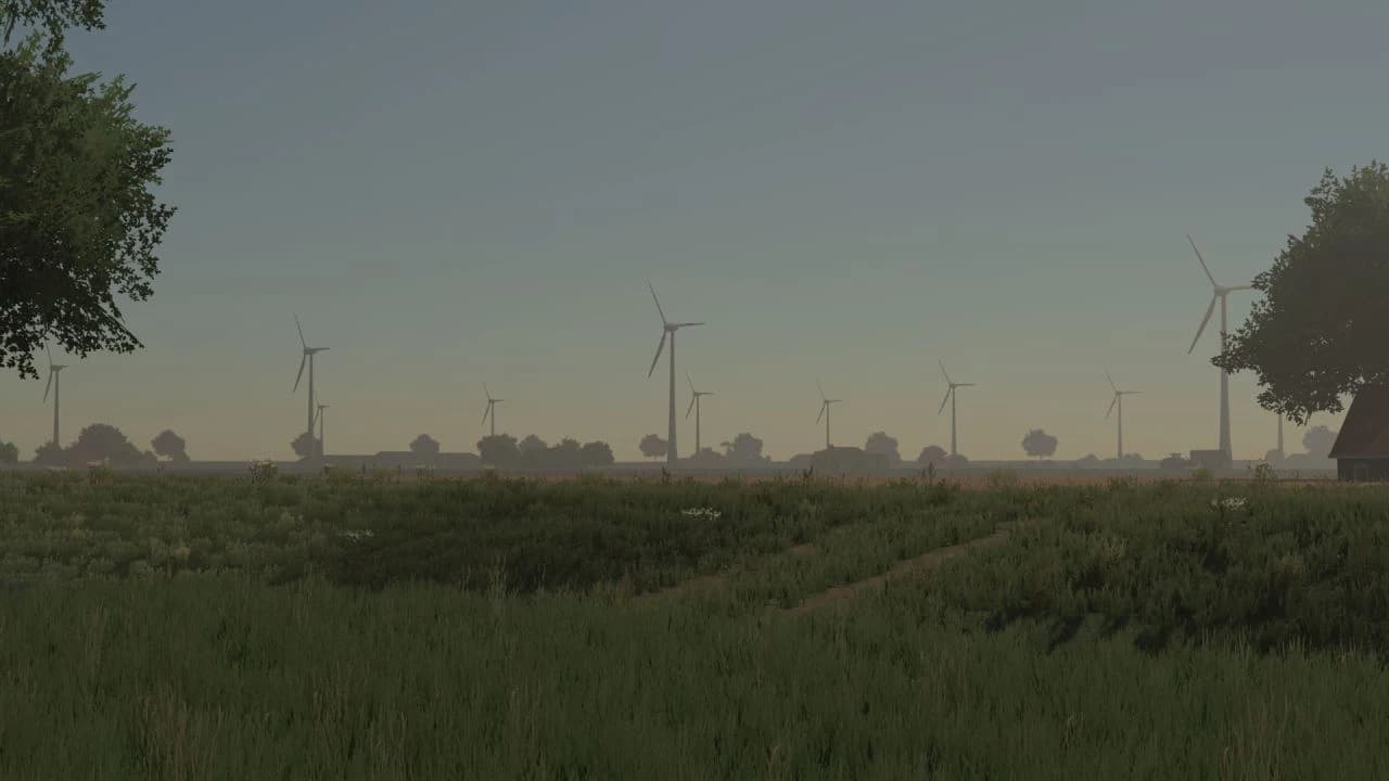 DUTCH POLDER BETA 3