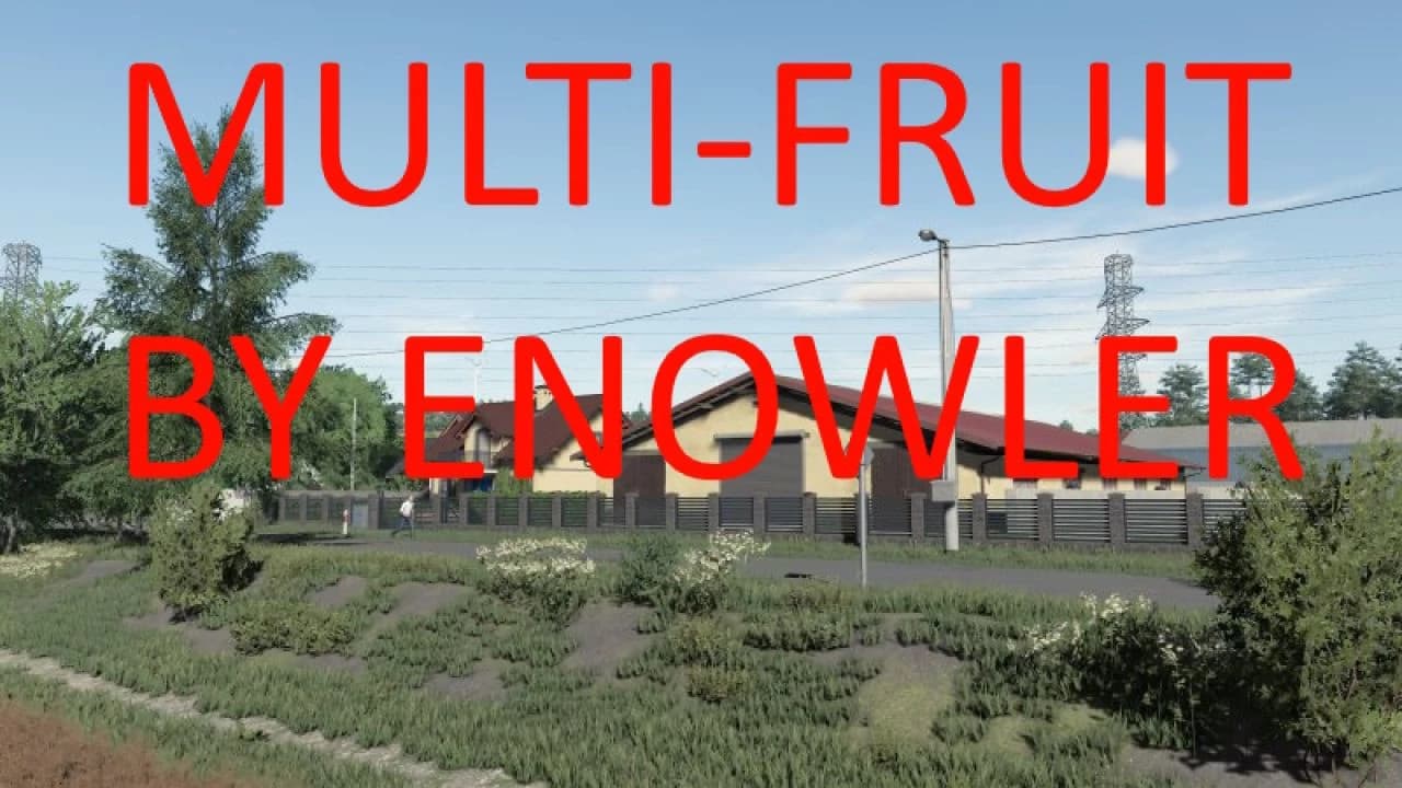 DZIKA DOLINA MULTIFRUIT