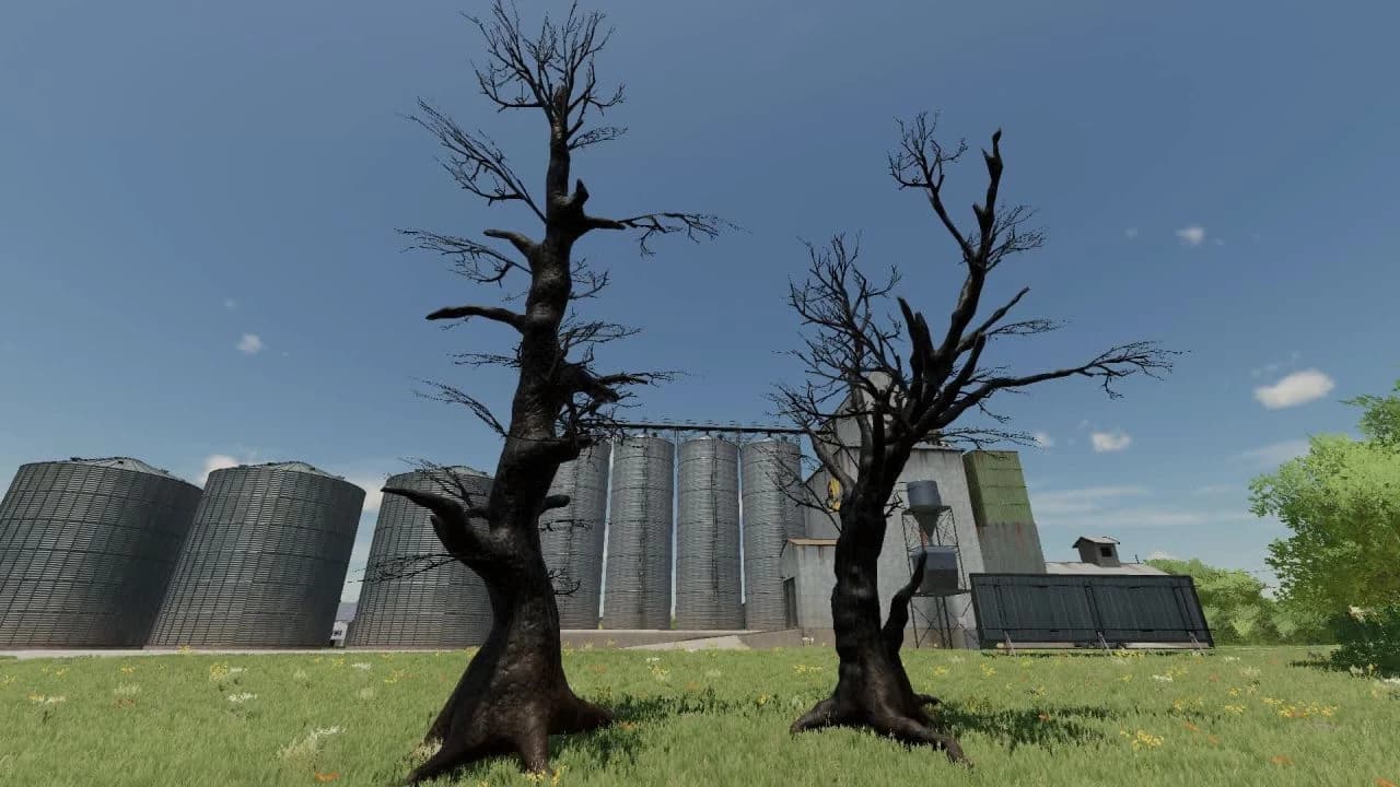 Dead Trees 3