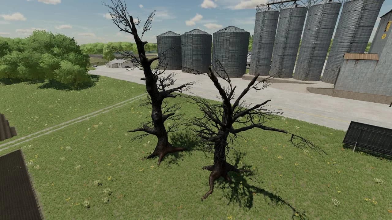Dead Trees 2