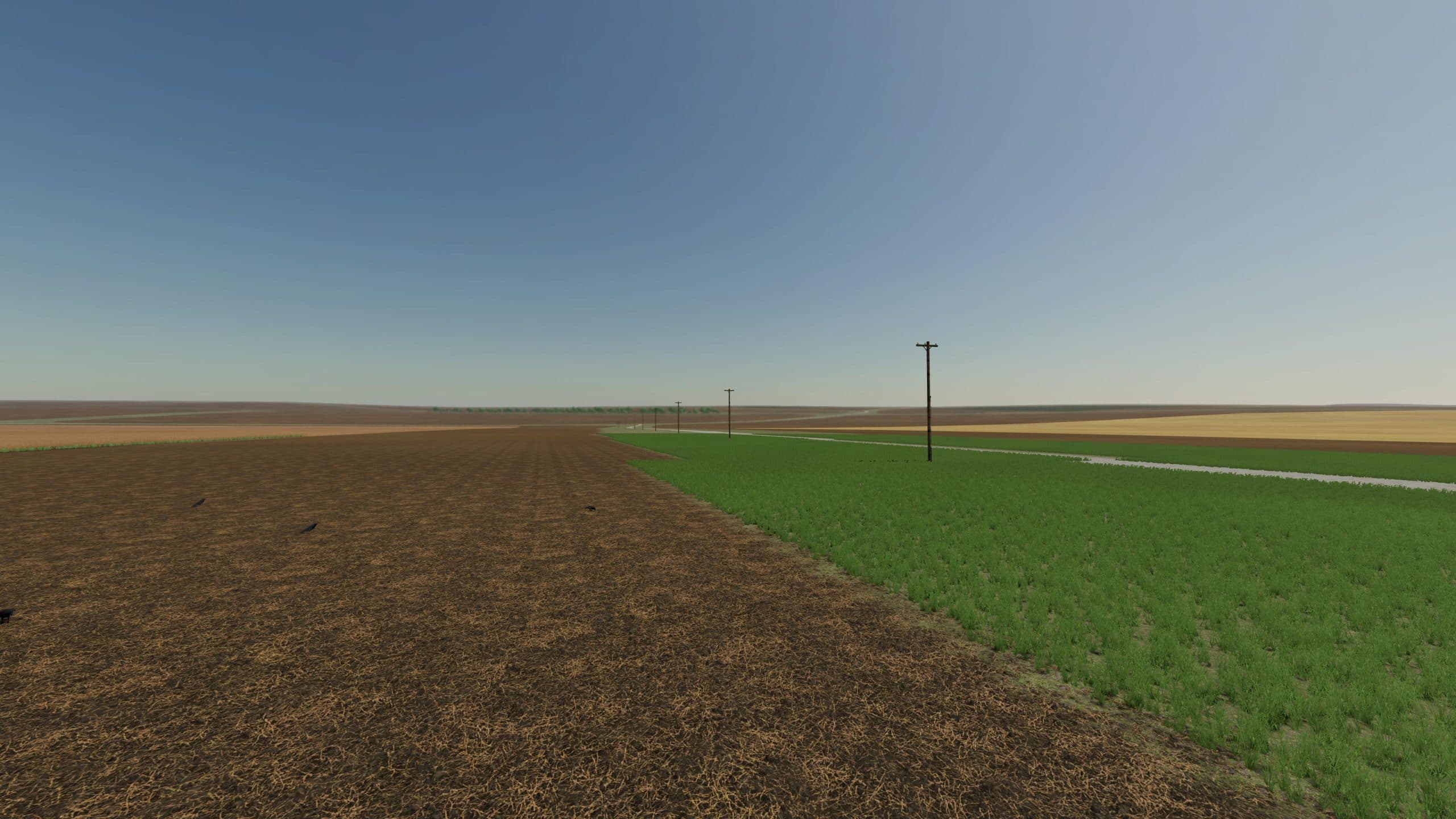 Diary PMC King Corn 3