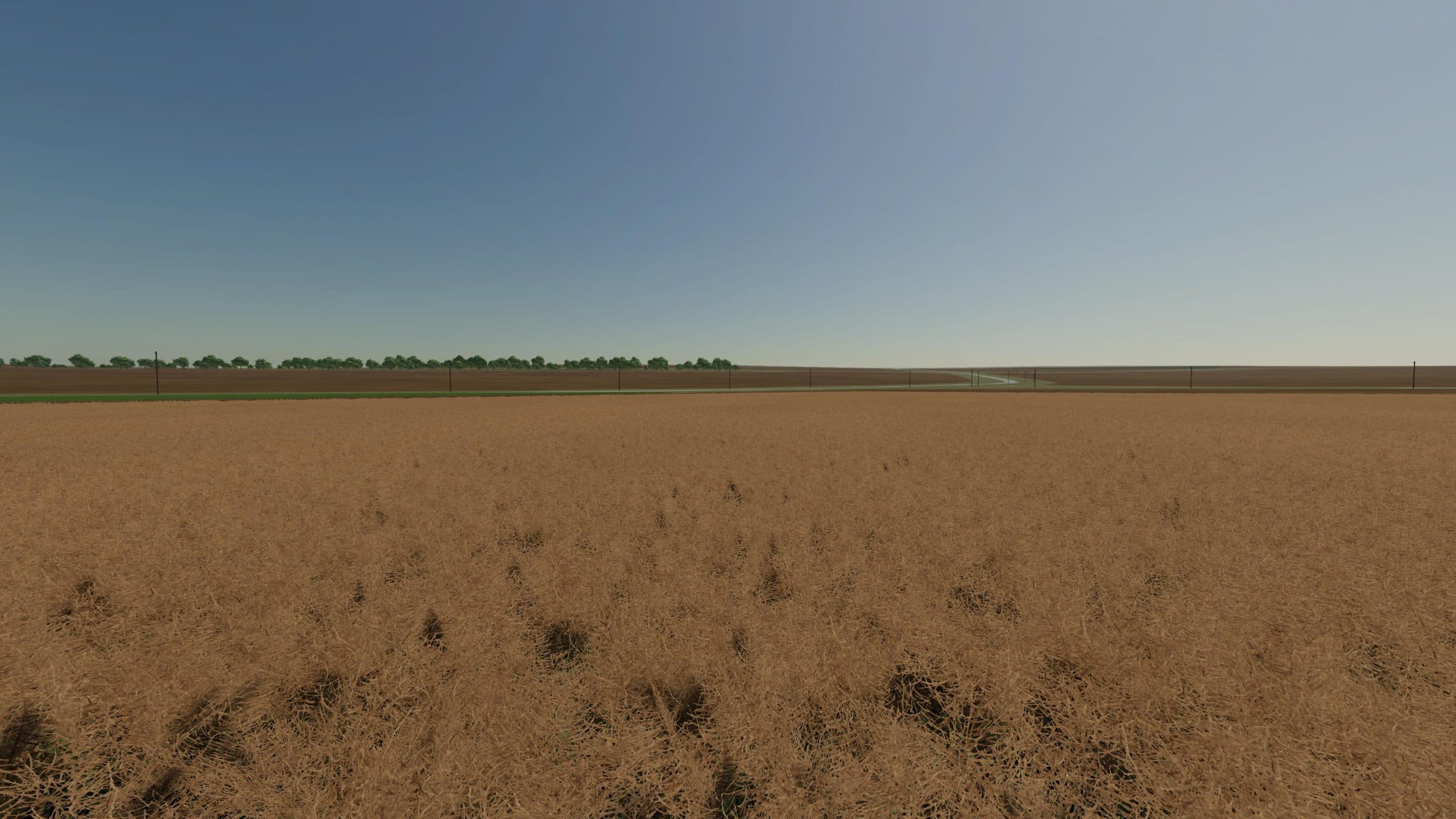 Diary PMC King Corn 2