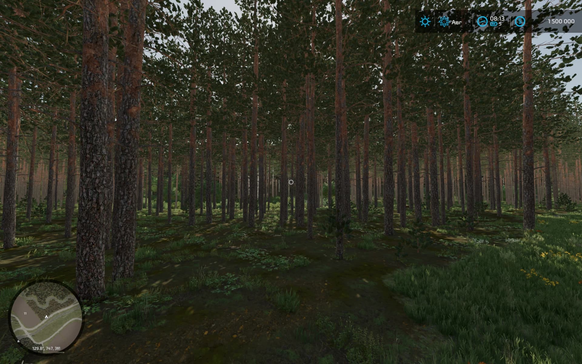 ELMCREEK FOREST VERSION 5