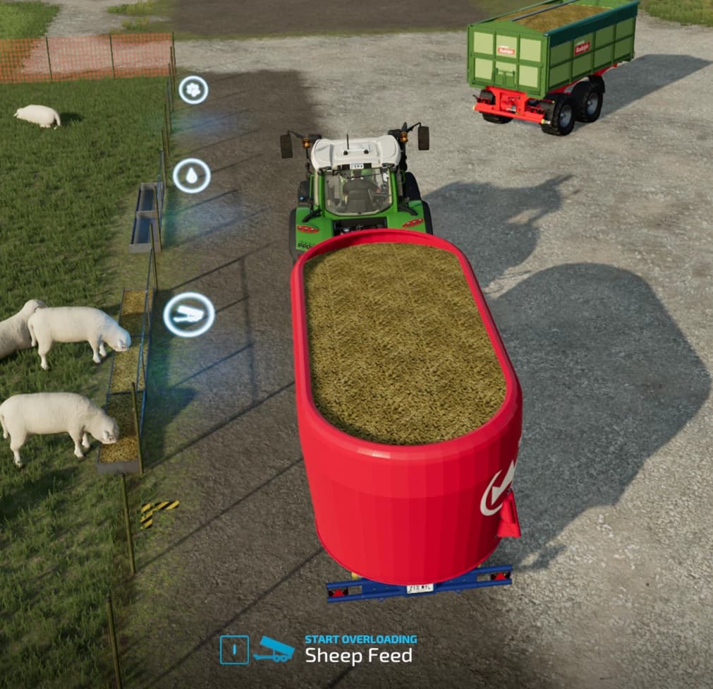 ENHANCED SHEEP FEEDING 2