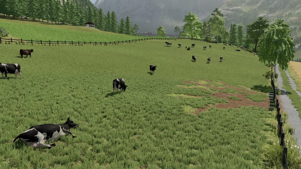 EXPANDABLE PASTURES 5