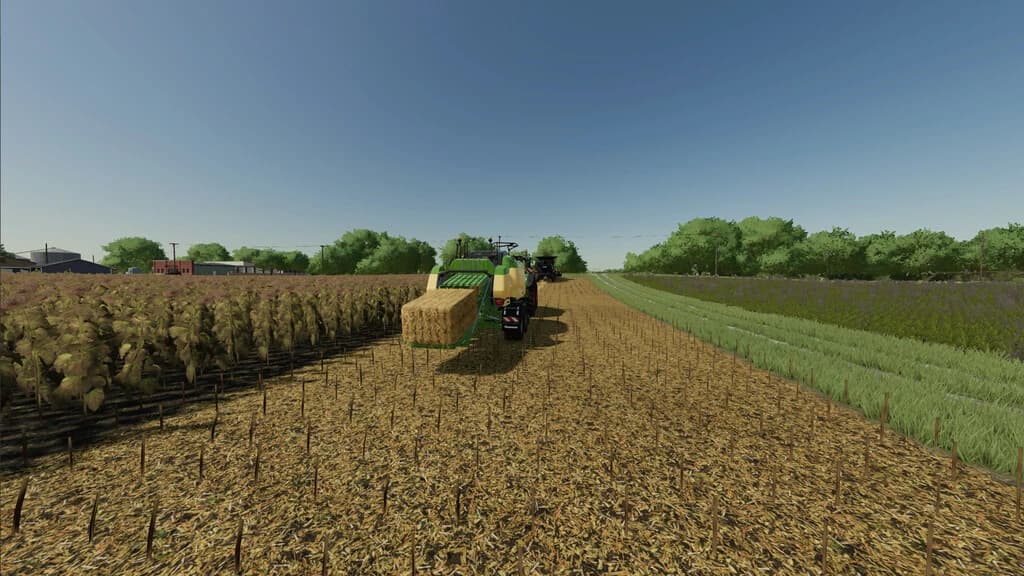 EXTENDED STRAW CROPS 3