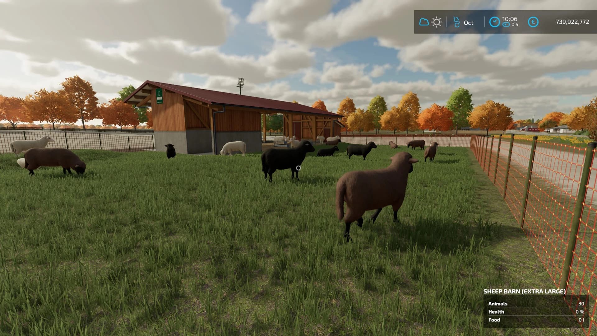 EXTRA LARGE SHEEPFOLD 5