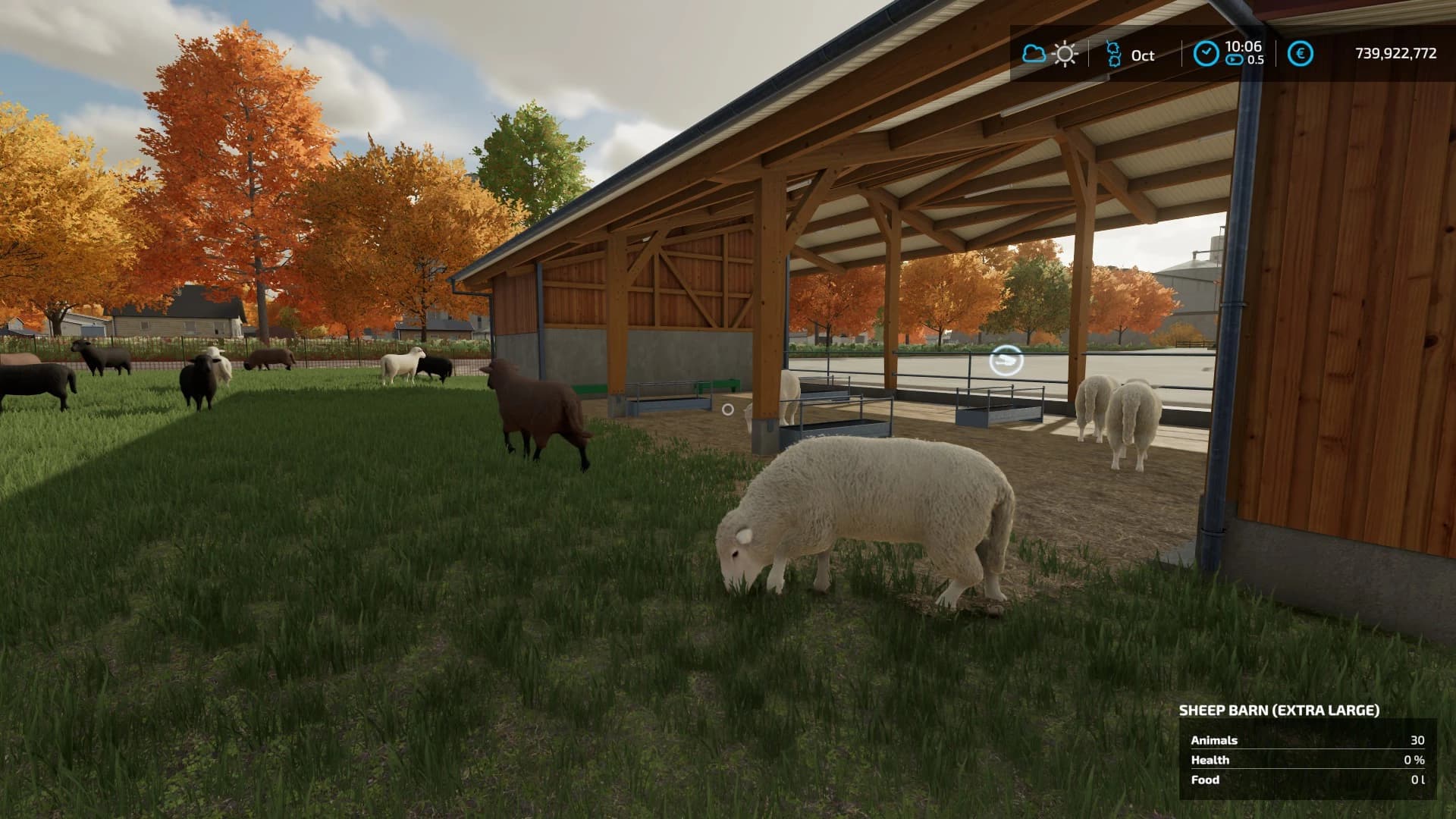 EXTRA LARGE SHEEPFOLD 4