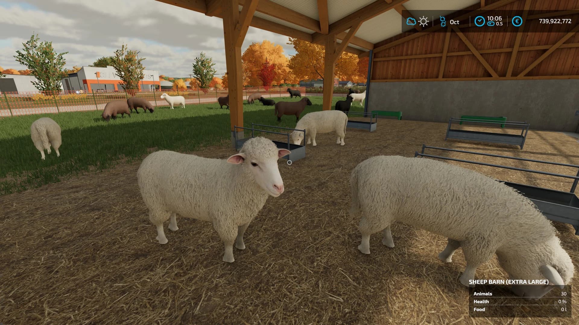 EXTRA LARGE SHEEPFOLD 3