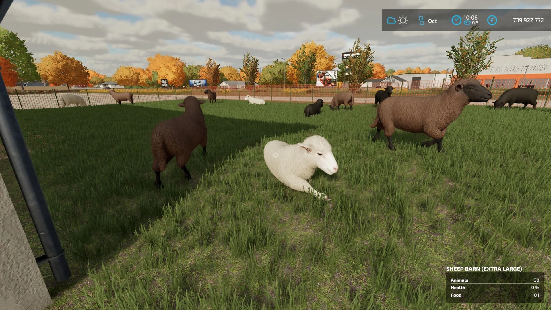 EXTRA LARGE SHEEPFOLD 2