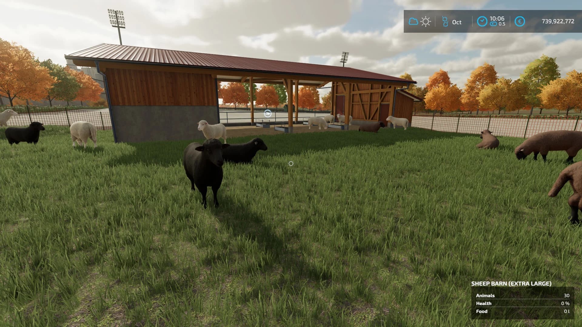 EXTRA LARGE SHEEPFOLD