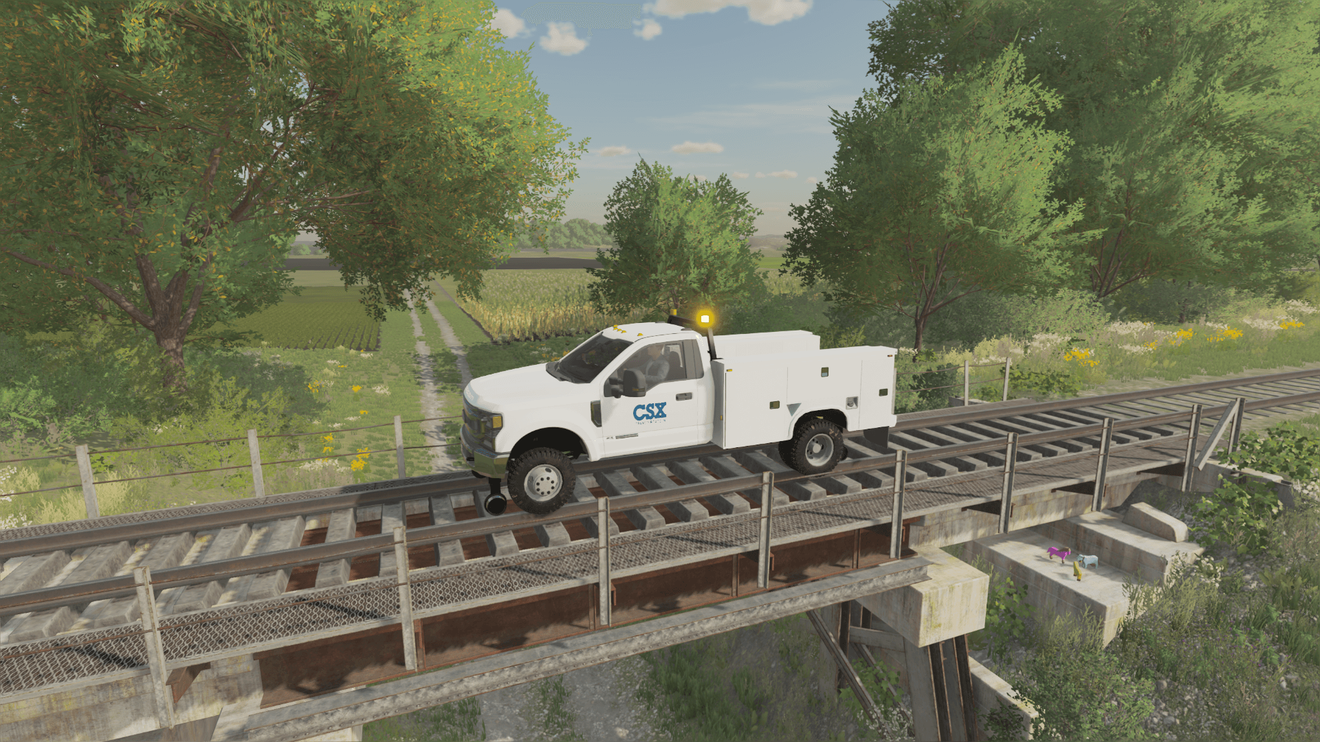 F350 Hi-Rail Service 2