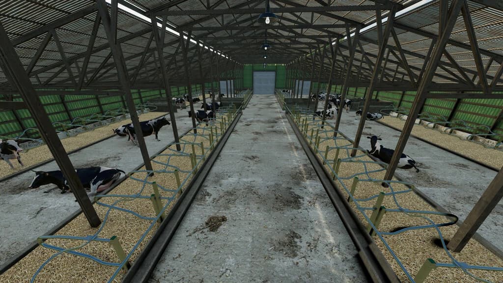 FARM COW BARNS 5