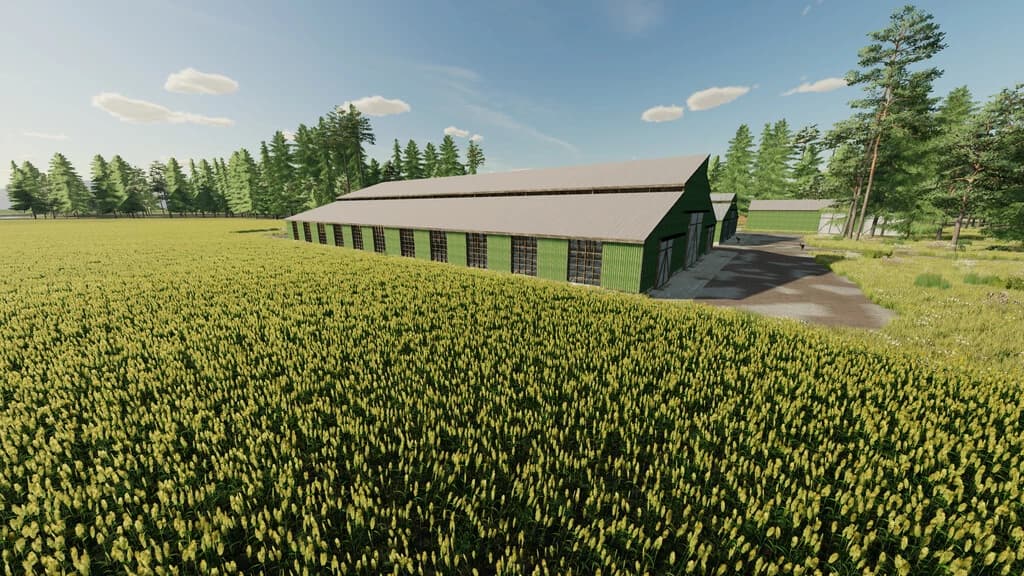 FARM COW BARNS 3