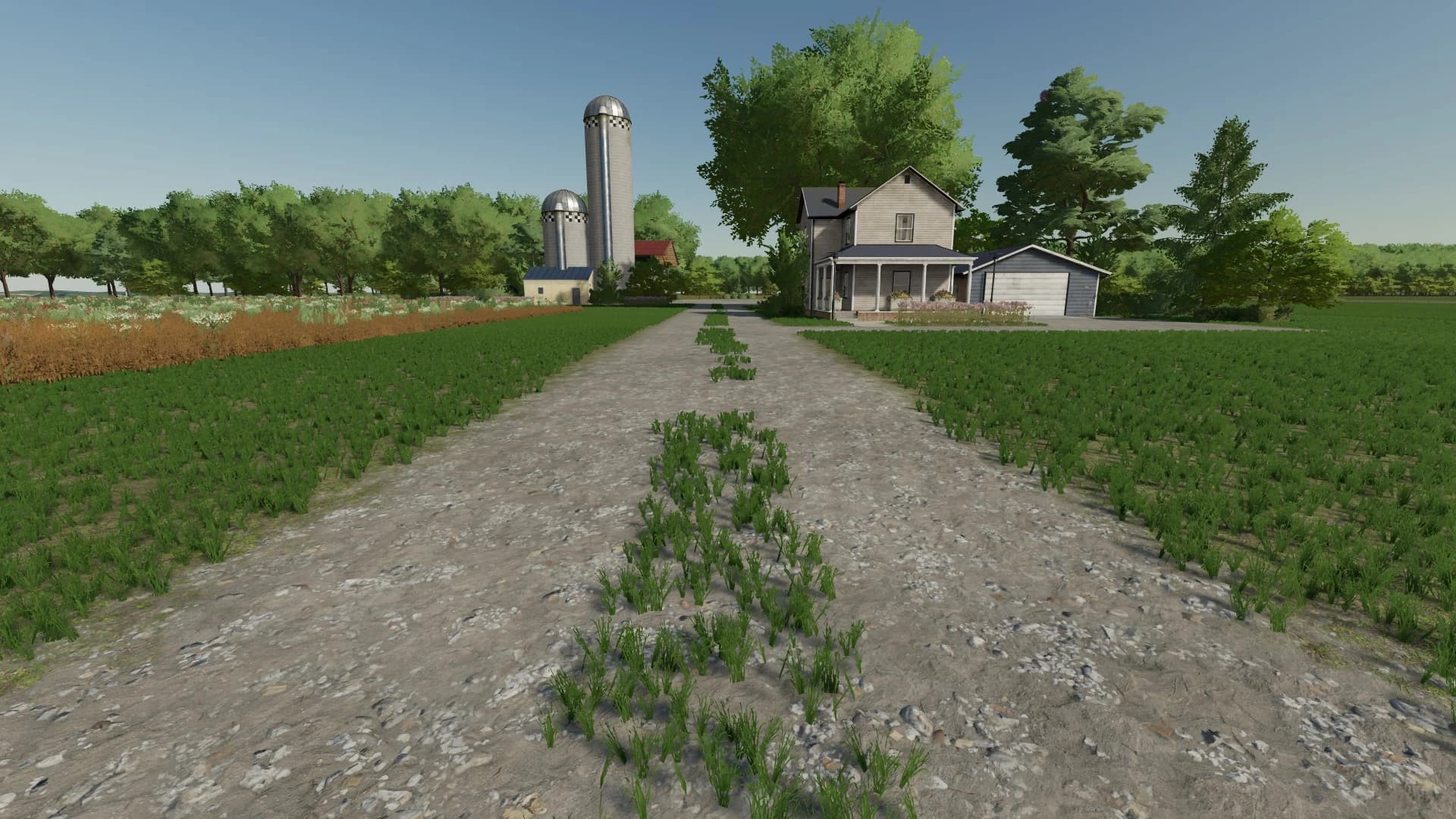 FARMINGTON MULTIFRUIT 4