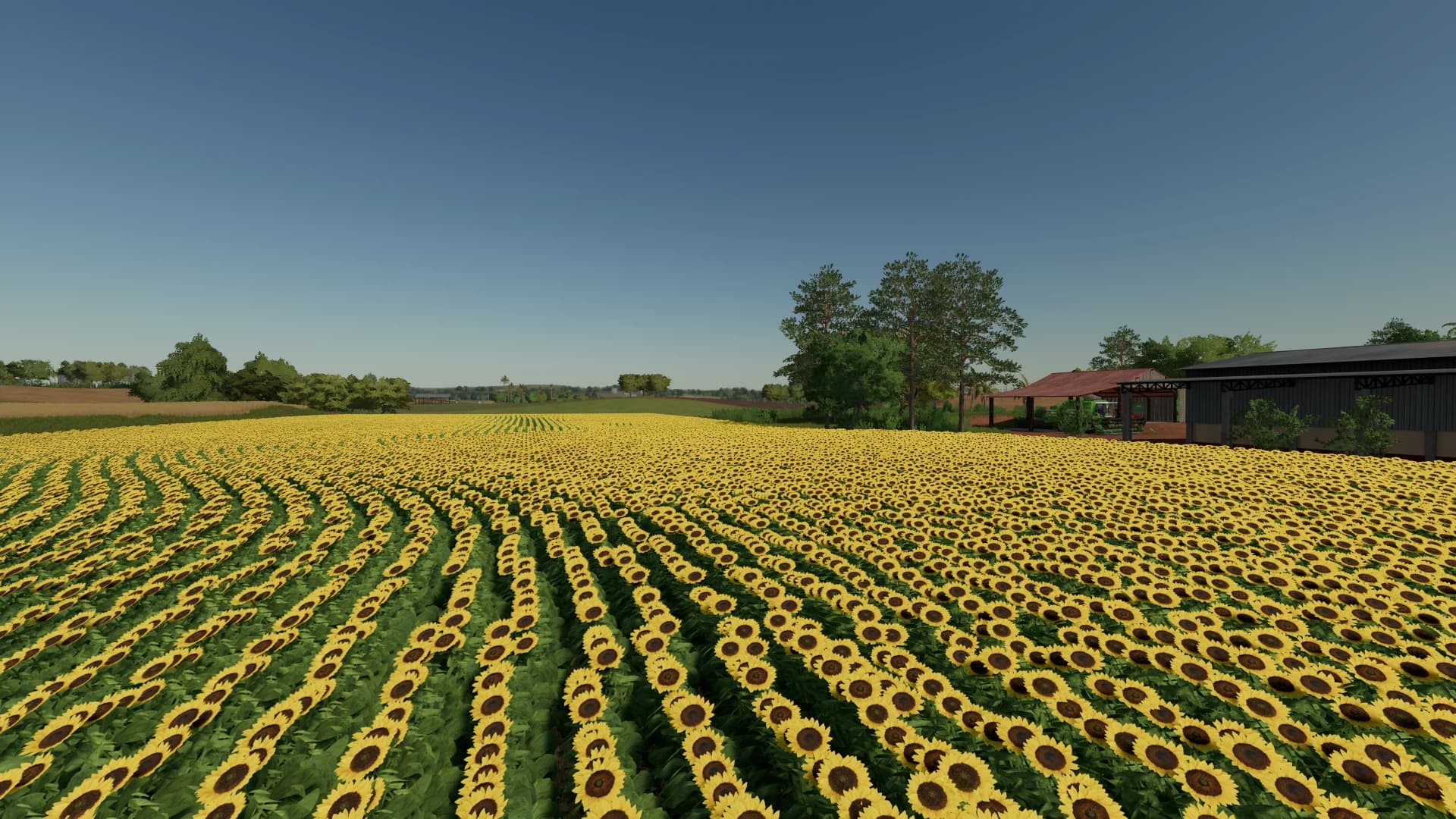 FARMINOPOLIS MAP ROWCROP 2