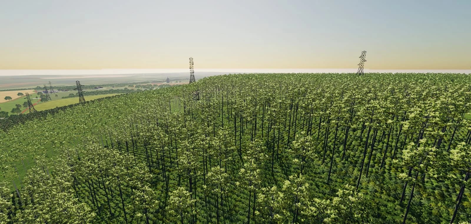 FAZENDA URUBURETAMA 2
