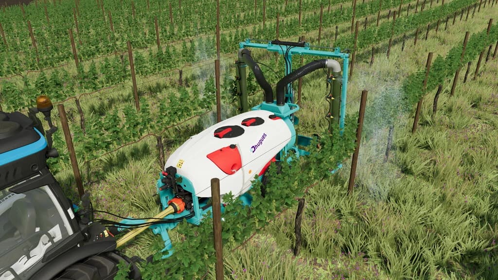 FERRAND / DHUGUES VINEYARD PACK 3