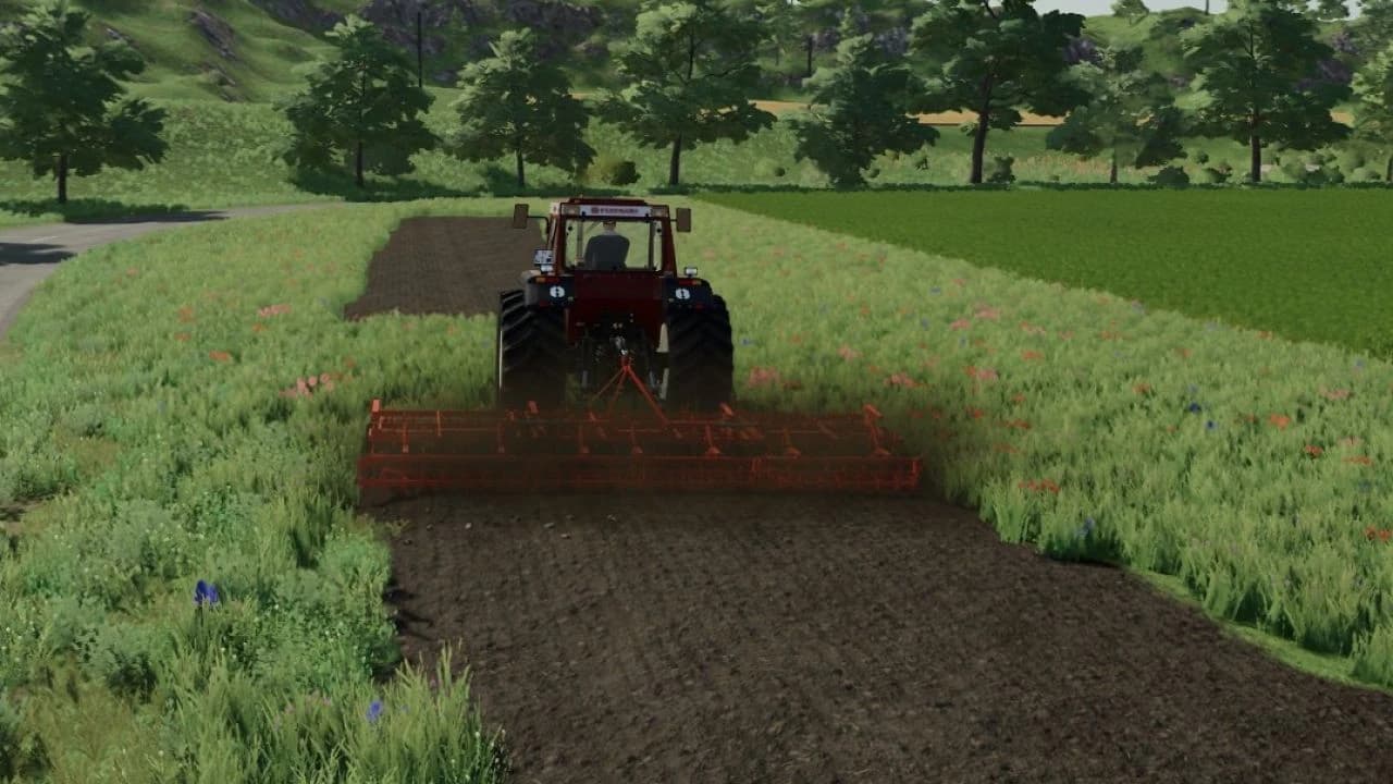 FIALHO 6M BETA 4