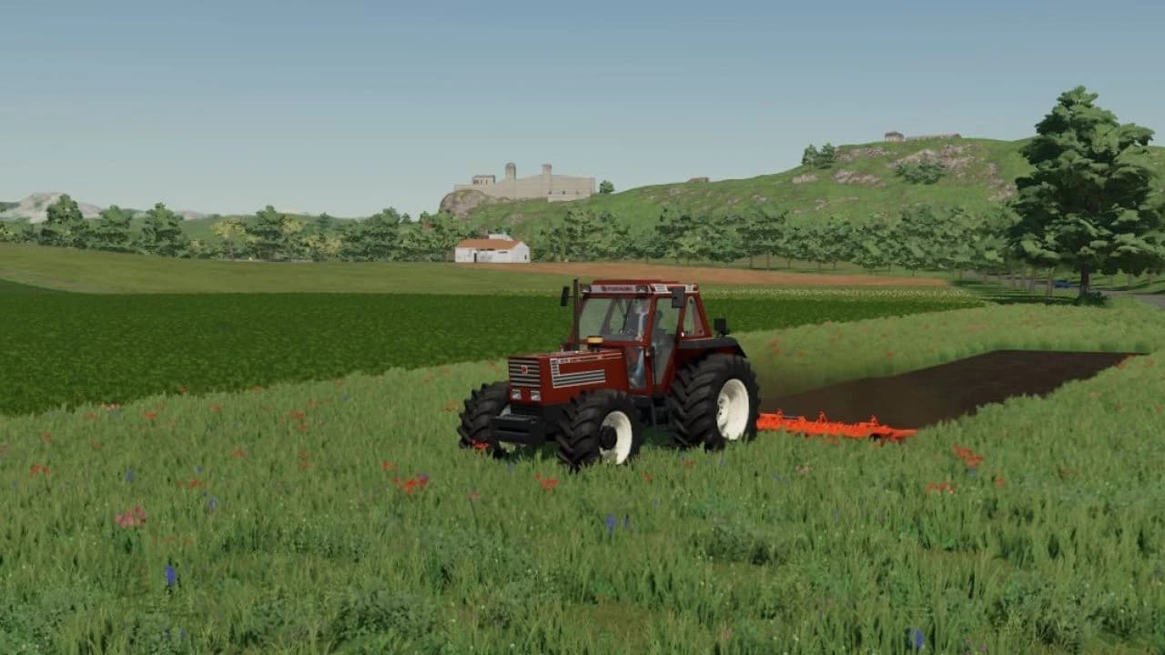 FIALHO 6M BETA 2