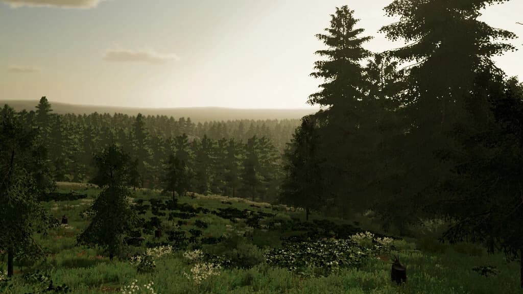 FICHTHAL MAP 2